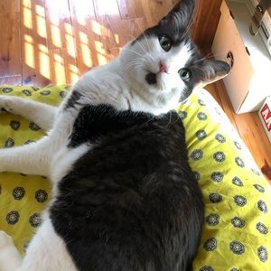 Meet your Posher, Erika